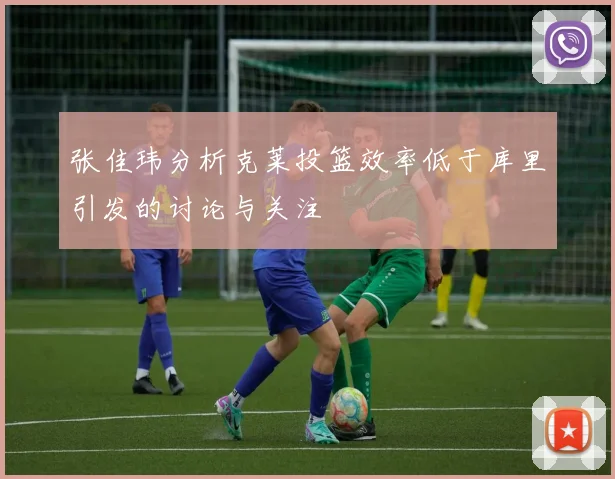 张佳玮分析克莱投篮效率低于库里引发的讨论与关注