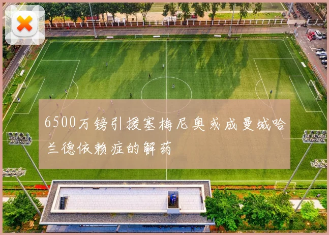 6500万镑引援塞梅尼奥或成曼城哈兰德依赖症的解药