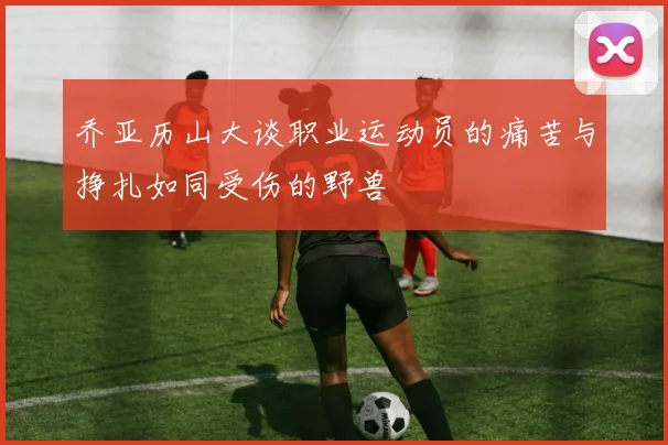 乔亚历山大谈职业运动员的痛苦与挣扎如同受伤的野兽